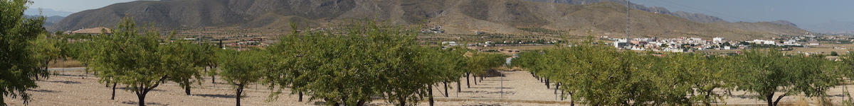 Casa Hondón de los Frailes